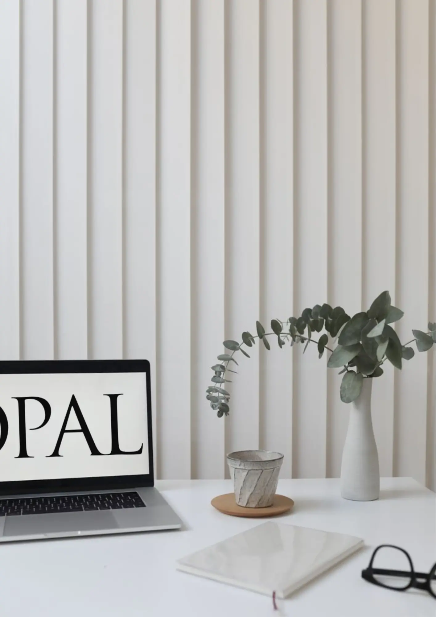 macbook avec logo opal, ambianc ecosy et studieuse, avec une plante verte en fond